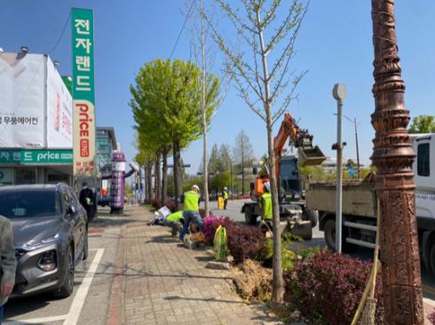 아산시, 도심지 은행나무 가로수 암수 교체 역점 추진:케이에스피뉴스 아산시, 도심지 은행나무 가로수 암수 교체 역점 추진:케이에스피뉴스