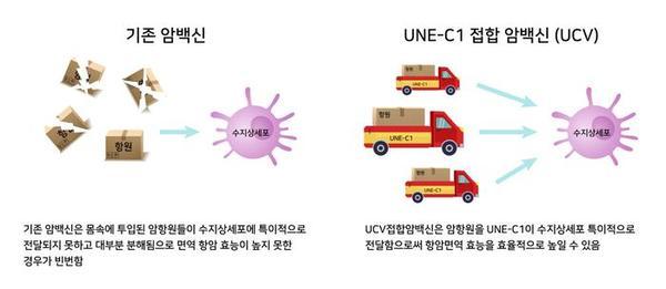 Yonsei University Develops New Substance That Boosts Immune… Presents New Opportunities For Cancer Vaccines: Indie Focus