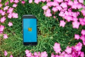 독박육아 대안 서비스 ‘놀담’...부산으로 영역 확장 - 뉴스 썸네일 이미지