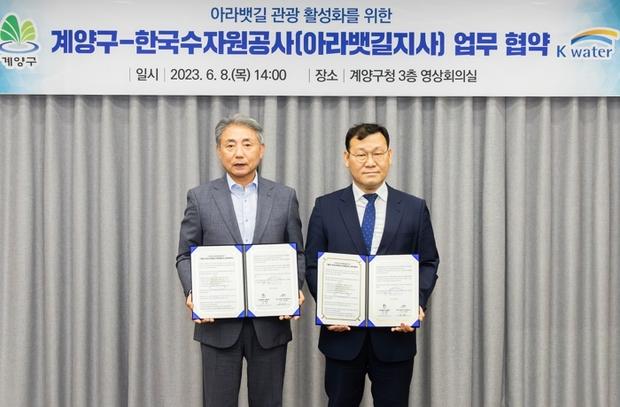 아라관광 이미지